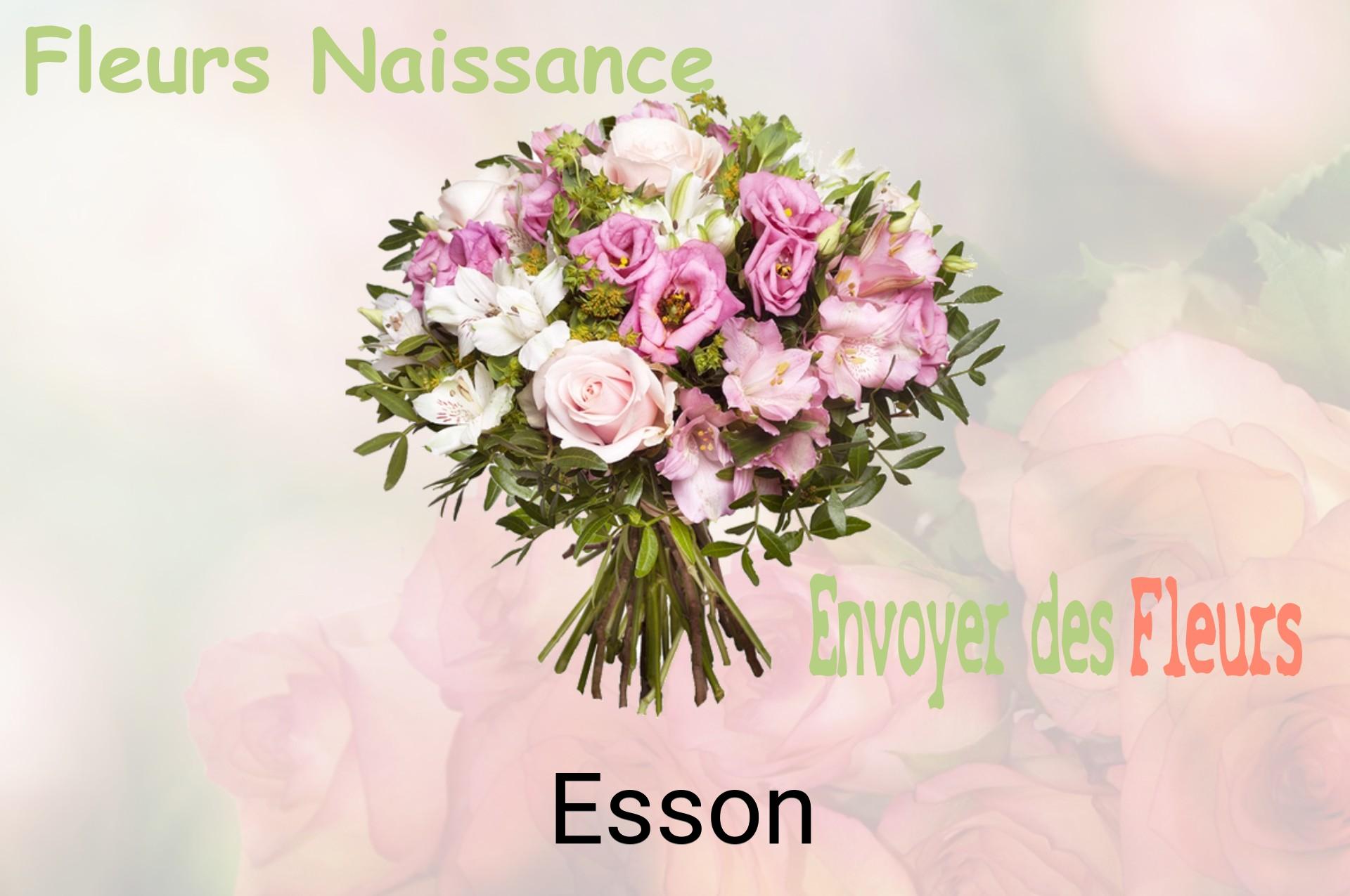 Bouquet de fleurs de naissance livré à Esson